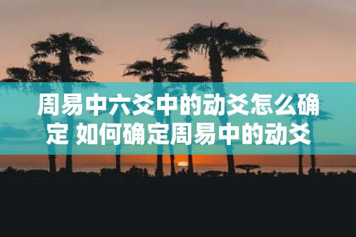 周易中六爻中的动爻怎么确定 如何确定周易中的动爻