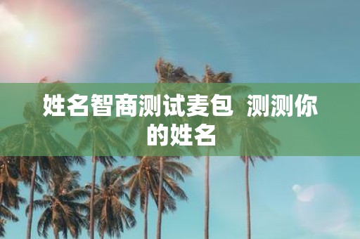 姓名智商测试麦包 测测你的姓名
