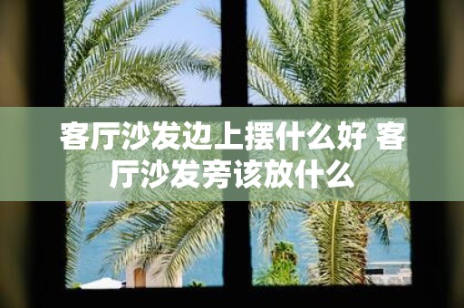 客厅沙发边上摆什么好 客厅沙发旁该放什么