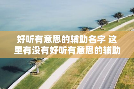 好听有意思的辅助名字 这里有没有好听有意思的辅助名字