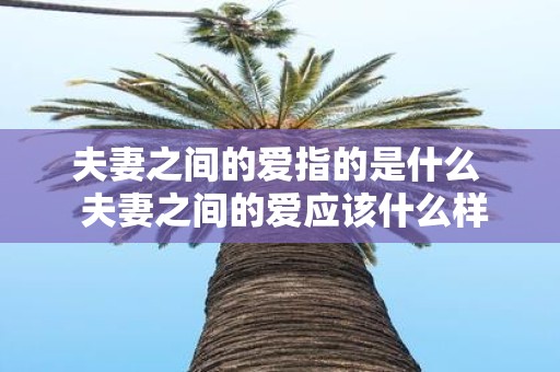 夫妻之间的爱指的是什么 夫妻之间的爱应该什么样的