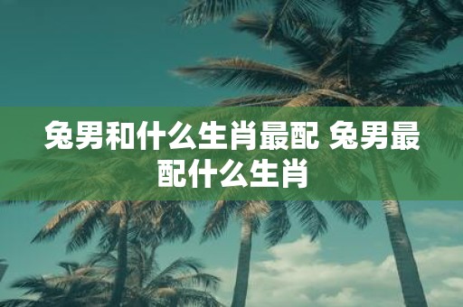 兔男和什么生肖最配 兔男最配什么生肖