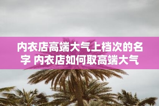 内衣店高端大气上档次的名字 内衣店如何取高端大气上档次的名字