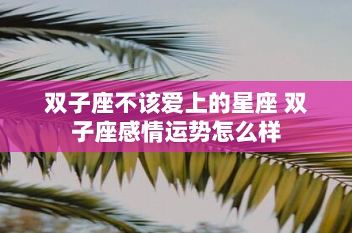 双子座不该爱上的星座 双子座感情运势怎么样