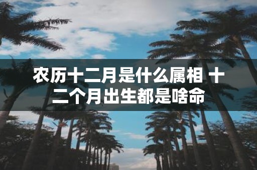 农历十二月是什么属相 十二个月出生都是啥命