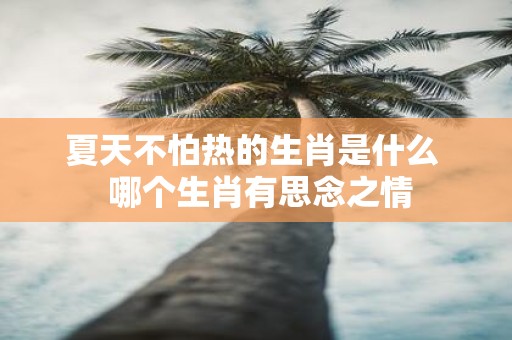 夏天不怕热的生肖是什么 哪个生肖有思念之情
