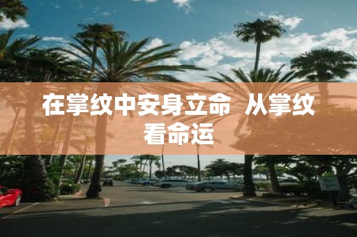 在掌纹中安身立命 从掌纹看命运