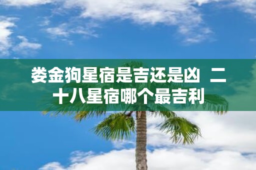 娄金狗星宿是吉还是凶 二十八星宿哪个最吉利