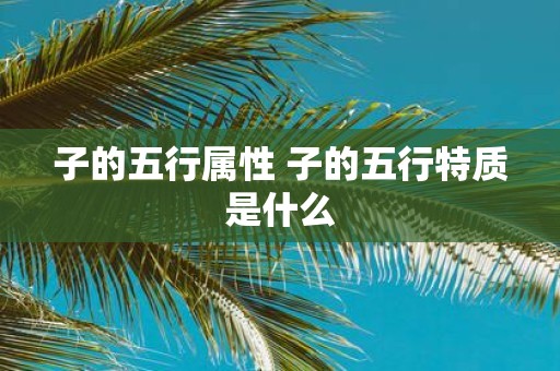 子的五行属性 子的五行特质是什么