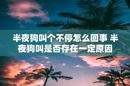 半夜狗叫个不停怎么回事 半夜狗叫是否存在一定原因