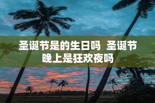 圣诞节是的生日吗 圣诞节晚上是狂欢夜吗