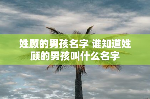姓顾的男孩名字 谁知道姓顾的男孩叫什么名字