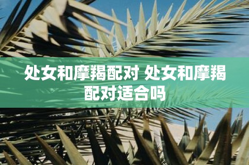 处女和摩羯配对 处女和摩羯配对适合吗