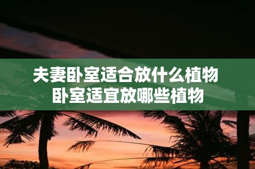 夫妻卧室适合放什么植物 卧室适宜放哪些植物