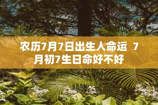 农历7月7日出生人命运 7月初7生日命好不好