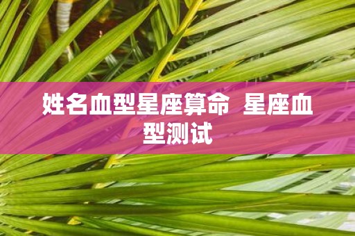 姓名血型星座算命 星座血型测试