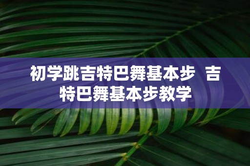 初学跳吉特巴舞基本步 吉特巴舞基本步教学