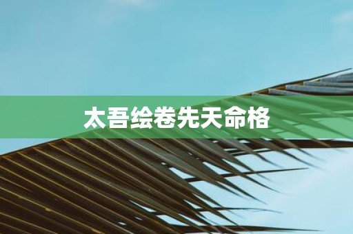 太吾绘卷先天命格