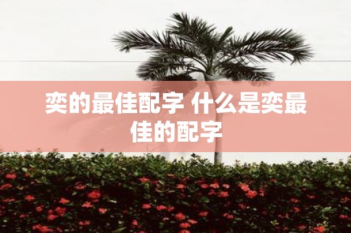 奕的最佳配字 什么是奕最佳的配字