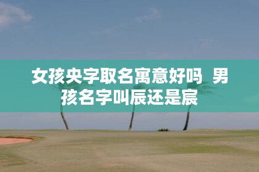 女孩央字取名寓意好吗 男孩名字叫辰还是宸