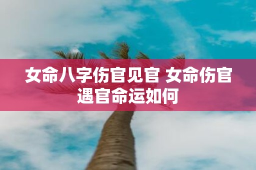 女命八字伤官见官 女命伤官遇官命运如何
