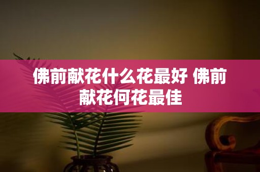 佛前献花什么花最好 佛前献花何花最佳