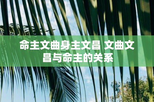 命主文曲身主文昌 文曲文昌与命主的关系