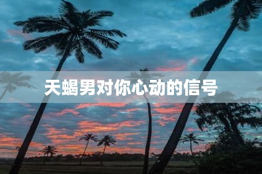天蝎男对你心动的信号