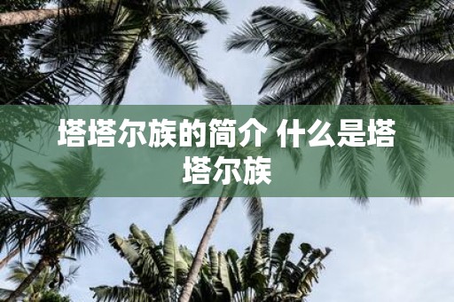 塔塔尔族的简介 什么是塔塔尔族