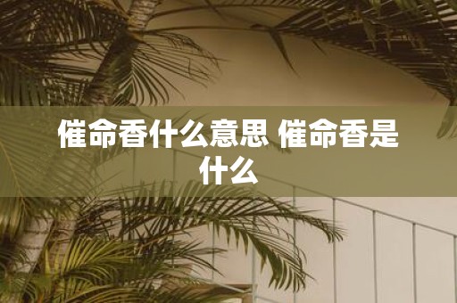 催命香什么意思 催命香是什么