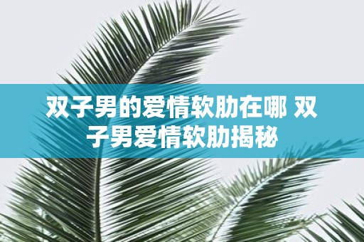 双子男的爱情软肋在哪 双子男爱情软肋揭秘