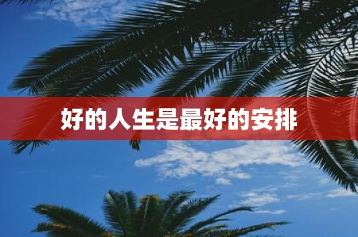 好的人生是最好的安排