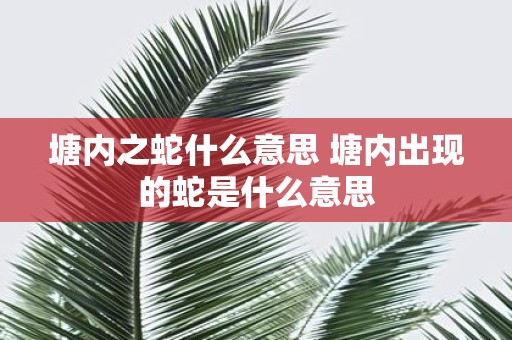 塘内之蛇什么意思 塘内出现的蛇是什么意思