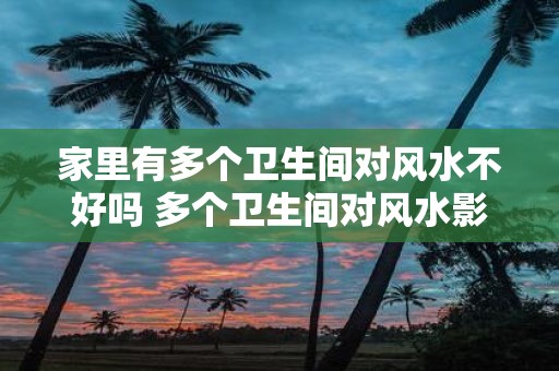 家里有多个卫生间对风水不好吗 多个卫生间对风水影响