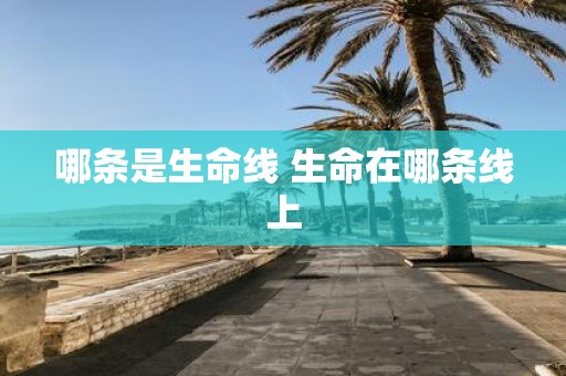 哪条是生命线 生命在哪条线上
