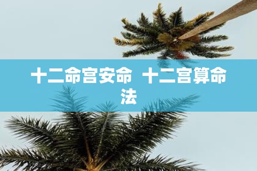 十二命宫安命 十二宫算命法