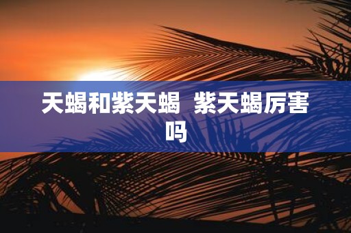 天蝎和紫天蝎 紫天蝎厉害吗