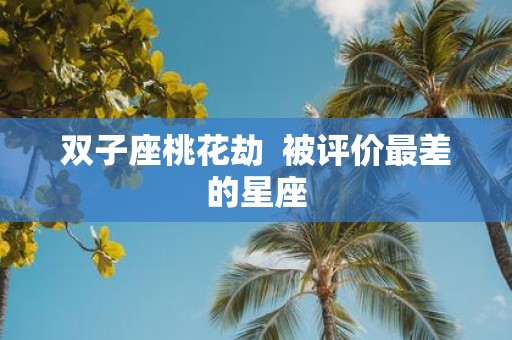 双子座桃花劫 被评价最差的星座