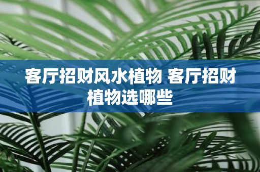 客厅招财风水植物 客厅招财植物选哪些
