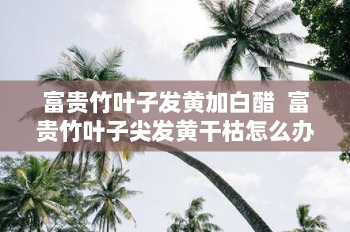富贵竹叶子发黄加白醋 富贵竹叶子尖发黄干枯怎么办