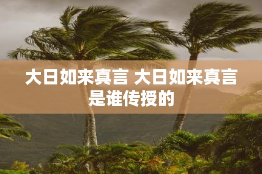 大日如来真言 大日如来真言是谁传授的