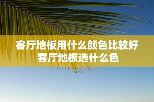 客厅地板用什么颜色比较好 客厅地板选什么色