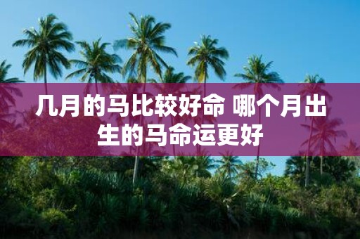 几月的马比较好命 哪个月出生的马命运更好