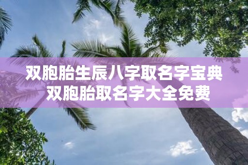 双胞胎生辰八字取名字宝典 双胞胎取名字大全免费