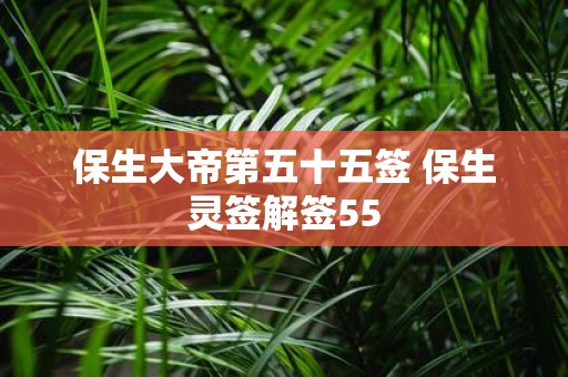 保生大帝第五十五签 保生灵签解签55