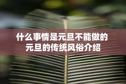 什么事情是元旦不能做的 元旦的传统风俗介绍