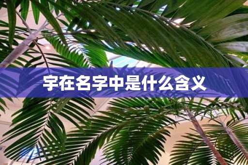 宇在名字中是什么含义