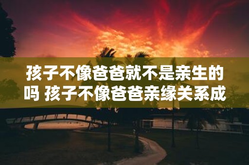 孩子不像爸爸就不是亲生的吗 孩子不像爸爸亲缘关系成立吗
