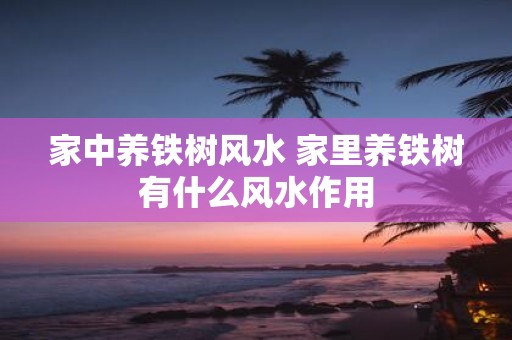 家中养铁树风水 家里养铁树有什么风水作用