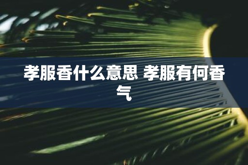 孝服香什么意思 孝服有何香气